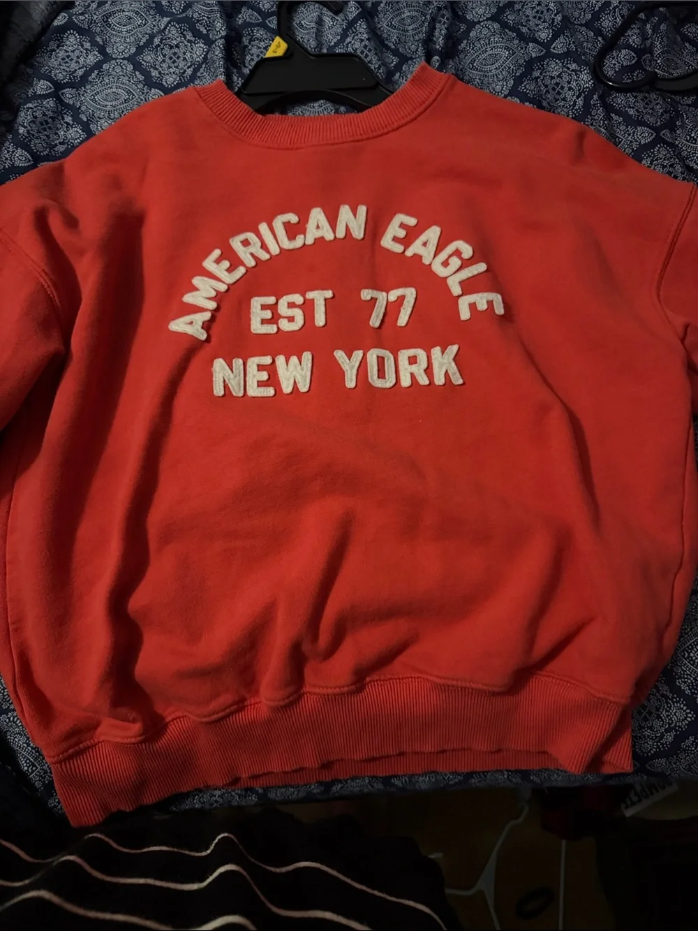 American Eagle Outfitters Coral Crewneck Sweatshirt